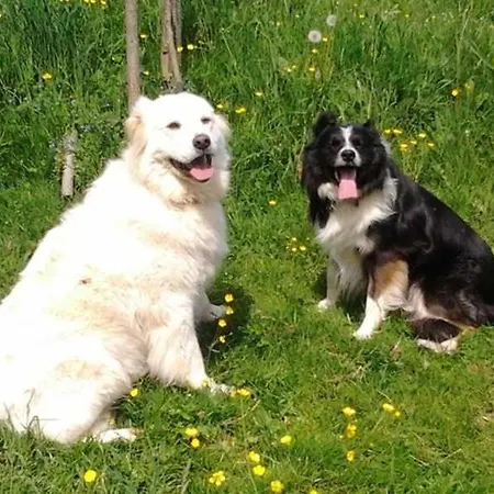 Zeltnerhof Séjour à la ferme *