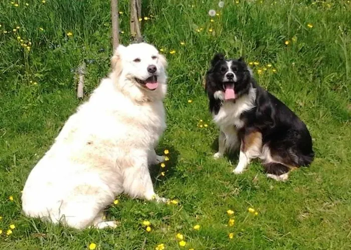 Zeltnerhof مزرعة للإقامة *