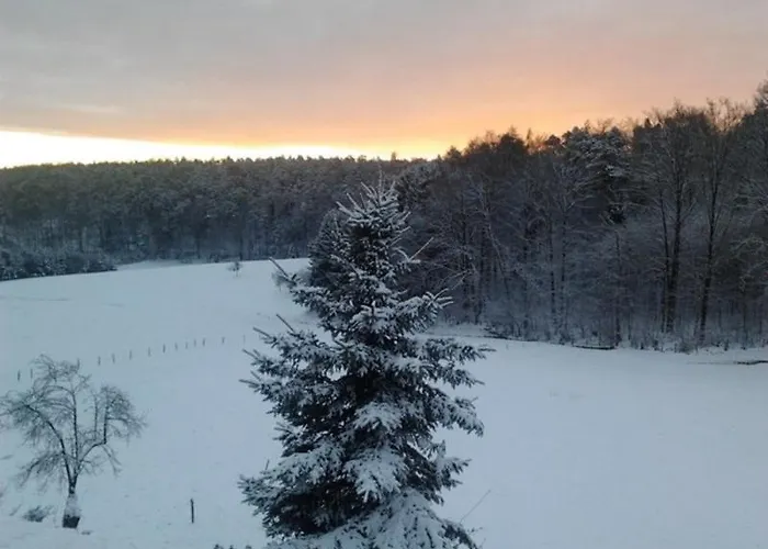 Zeltnerhof مزرعة للإقامة Breitenbrunn (Hessen)